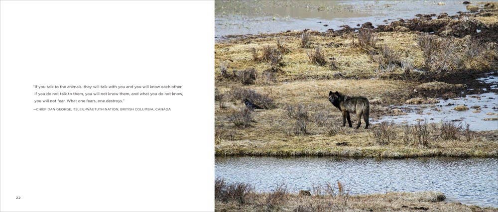 Wolves: Western Warriors
