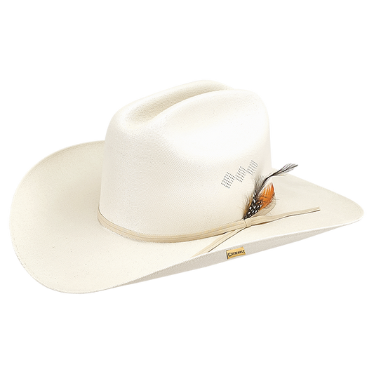 Ethan Cowboy Hat