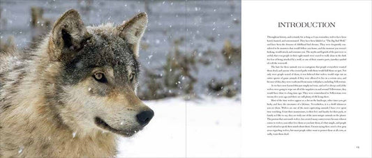 Wolves: Western Warriors